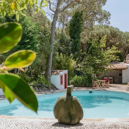 Chalé Casa Figuras *