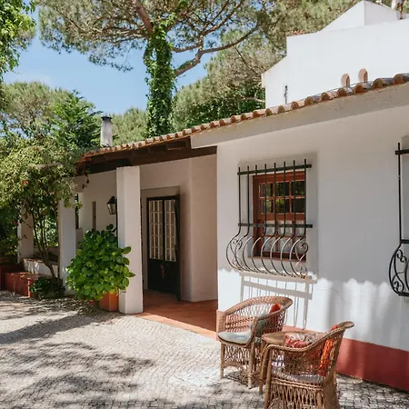 Casa Figuras