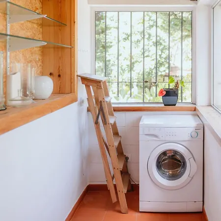 Chalé Casa Figuras *